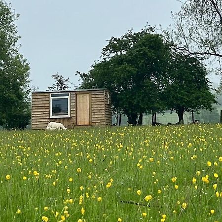 Hotel Off Grid Shepherds Hut Llansilin Exteriér fotografie